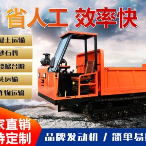 6噸履帶運(yùn)輸車